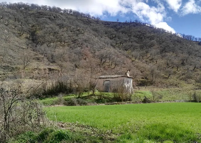 El Rincon 53
